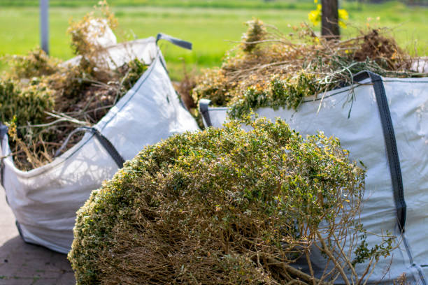 Best Electronics and E-Waste Disposal  in Dade City North, FL